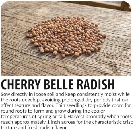 100 Cherry Belle Radish Seeds | Fast Growing Vegetable Seeds for Planting - Image 6