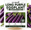 Long Purple Eggplant Seeds | Tender Slender Fruits for Gardens | 100 Seeds by CZGrain