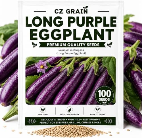 Long Purple Eggplant Seeds | Tender Slender Fruits for Gardens | 100 Seeds by CZGrain