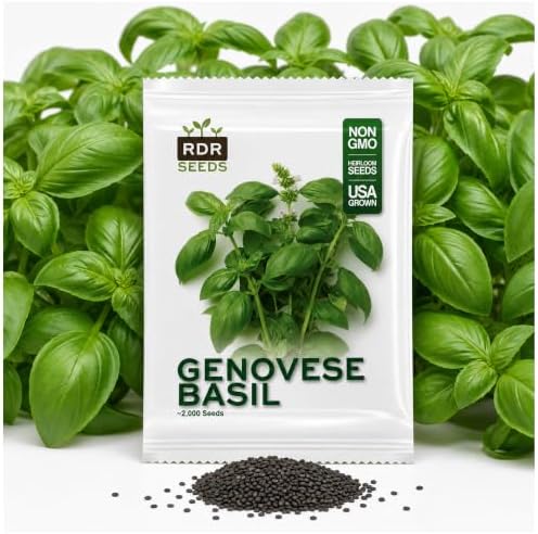 2000 Genovese Basil Seeds for Planting - Italian Sweet Basil for Pesto, Heirloom, Non-GMO, USA Grown by RDR Seeds by RDRSeeds