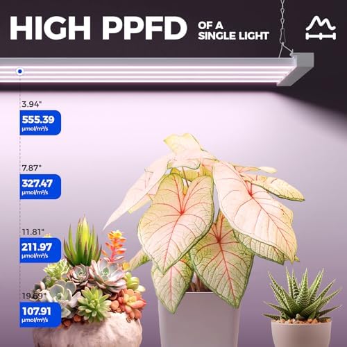 Barrina TX-L63 3FT LED Grow Light, 63W, 4 Panels Wider Coverage, High PPFD - Image 4