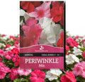 Outsidepride Mix Periwinkle Seeds for Planting – 2000 Pcs Annual, Fast-Blooming, Heat & Drought Tolerant Vinca Flower Seeds with Vibrant Colors Ideal for Gardens, Beds, Borders & Containers by Outsidepride