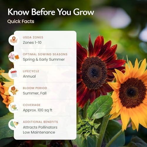Sunflower Seed Mix for Planting, 9 Varieties, 1,000 Seeds, Covers 100 Sq Ft - Image 5