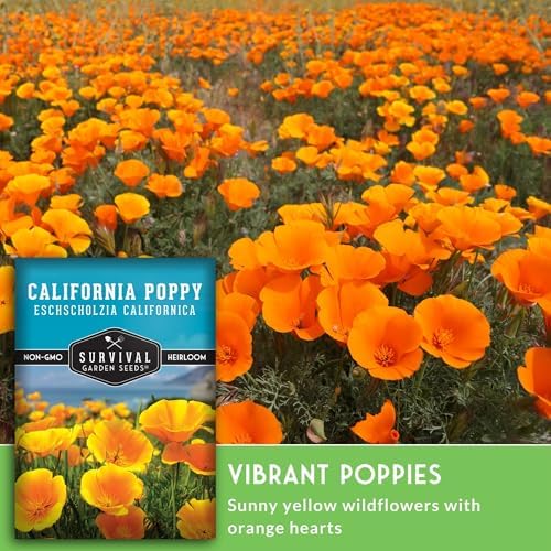 Survival Garden Seeds California Poppy Seeds for Planting, 3 Packs - Image 4