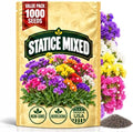 Statice Mixed Seeds for Planting, Limonium sinuatum, Heirloom Non-GMO Sea Lavender Flower Seeds, High Germination Colorful Annual Cut Flower for Dried Bouquets Borders and Cottage Gardens, 1000 Count by WilyFox