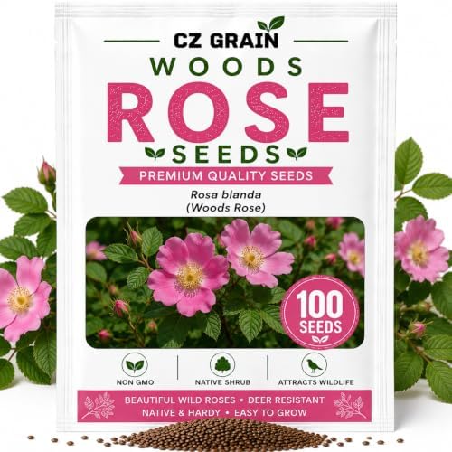 Woods Rose Seeds for Planting | Native Wild Rose Shrub | 100 Seeds by CZGrain