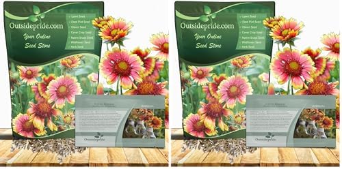 Outsidepride Gaillardia Pulchella Red Indian Blanket Seeds for Planting - 5000 Pcs Annual Flower Seeds, Heat & Drought Tolerant for Xeriscaping, Borders, & Small Garden Spaces (Pack of 2) by Outsidepride