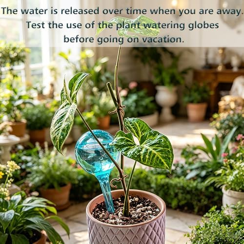 Plant Self Watering Globes, Large 12pcs Flower Automatic Watering Bulbs, Plastic Plant Flower Self Watering Devices, Garden Self Watering Planter Insert for Daily Vocation Watering, Forgetful Gardener - Image 6