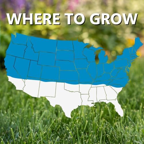 Jonathan Green Blue Panther Kentucky Bluegrass Partial Shade/Sun Grass Seed 3 lb - Image 3