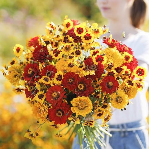 Eden Brothers Fiery Flower Mixed Seeds for Planting, 1/4 lb, 120,000+ Seeds with Zinnia Scarlet Flame, Plains Coreopsis | Attracts Pollinators, Plant in Spring or Fall, Zones 3, 4, 5, 6, 7, 8, 9, 10 by EdenBrothers
