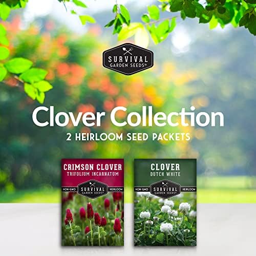 Clover Seeds 2 Variety Pack for Planting - Crimson & Dutch White - Image 2