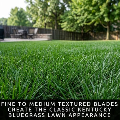 10 lb Kentucky Bluegrass Seed for Planting, Cool Season Lawn Grass - Image 3