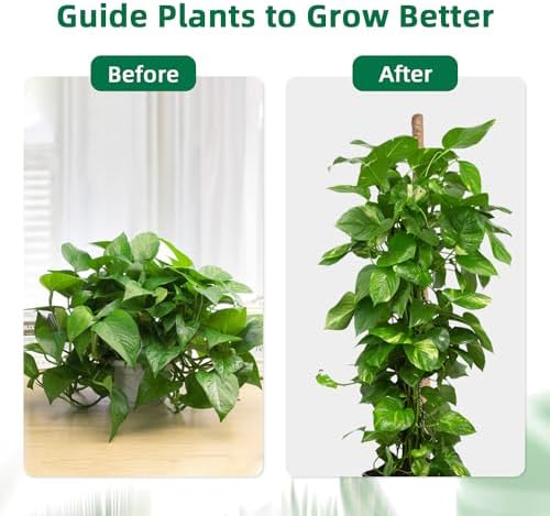 Mcbazel 63 Inch Moss Pole for Plants Monstera, Monstera Plant Support Stick, Bendable Moss Poles Plant Support Stick for Climbing Plants, Stick Support Stake Kit for Potted Plants, Pothos,Philodendron - Image 3