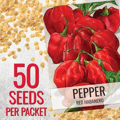 Seed Needs Red Habanero Hot Pepper Seeds to Plant Vegetables - 1 Pack - Image 3