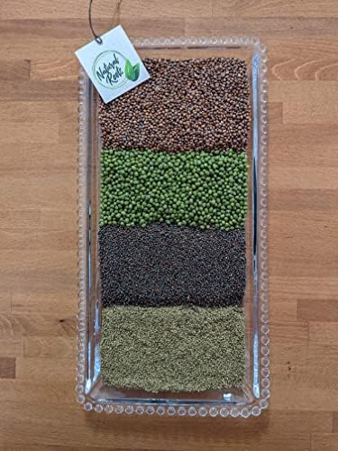 Variety Pack Sprouting Seeds. One Pound. Includes one Pack of Broccoli, Alfalfa, Radish & Mung Beans. for Sprouts and Microgreens. Non-GMO. Seeds for Jar or Trays. Each Pack is a Quarter Pound - Image 3