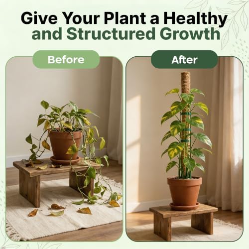 4 Pack 22" Moss Pole Monstera Plant Support - Stackable up to 70" - Image 6