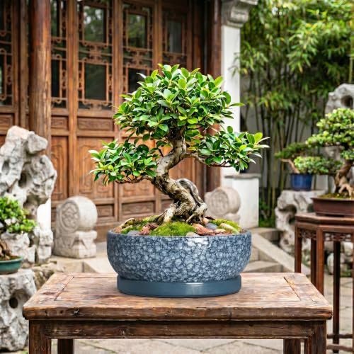 Bonsai Pots 13 Inch, Ceramic Succulent Planter with Tray, Scale Blue - Image 7