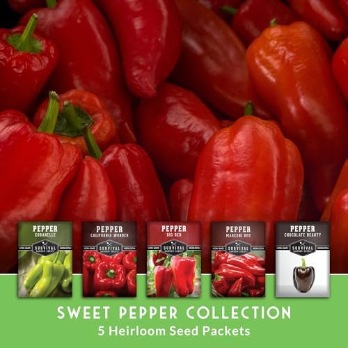 Sweet Pepper Seeds Variety Pack for Planting - Image 3