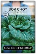 Sow Right Seeds - Bok Choy Seed for Planting Pak Choi Chinese Cabbage by SowRightSeeds