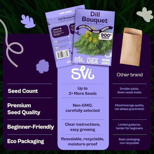 SVI 900 Bouquet Dill Seeds (Anethum graveolens) – Heirloom Dill Seed Packets, Aromatic Leaves & Herbs – Culinary Herb Seeds for Outdoor & Indoor Herb Garden, Raised Beds, Containers - Image 6
