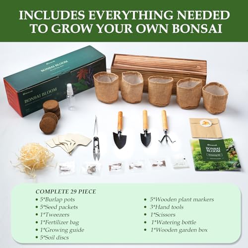 5 DIY Bonsai Tree Kit for Beginners, Complete Indoor Gardening Starter Kit with Seeds, Soils, Pots & Tools, Unique Birthday Gifts Ideas for Women, Men - Image 3