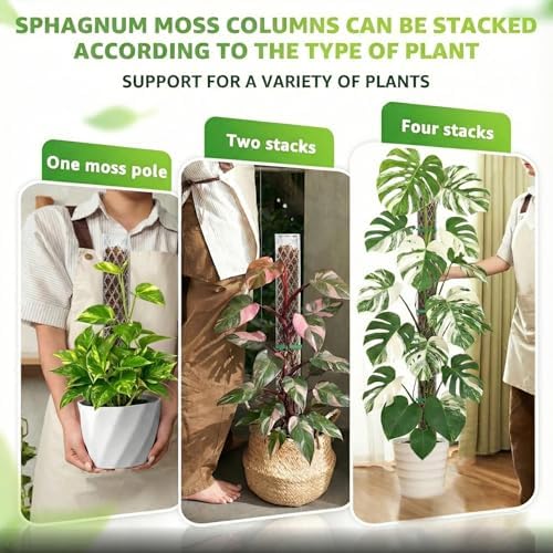 Plastic Moss Pole for Monstera and Climbing Plants - Image 3
