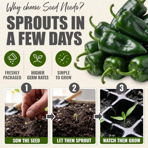 Seed Needs Ancho Grande Pepper Seeds to Plant Vegetables - 5 Packs - Image 5