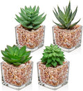 Briful Mini Fake Plants 4 Packs Succuletns Artificial Potted Plants in Cube Glass Vase Faux Succulents for Bathroom Living Room Kitchen Shelf Table Decor by Briful
