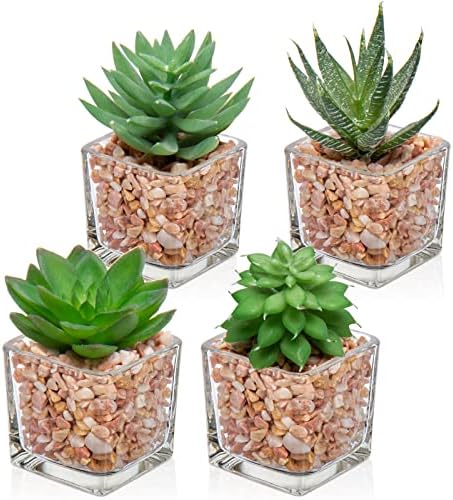 Briful Mini Fake Plants 4 Packs Succuletns Artificial Potted Plants in Cube Glass Vase Faux Succulents for Bathroom Living Room Kitchen Shelf Table Decor by Briful