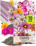 Seed Needs Flower Seeds Cosmos Original Crazy Mix (10 Bulk Packs) by SeedNeeds