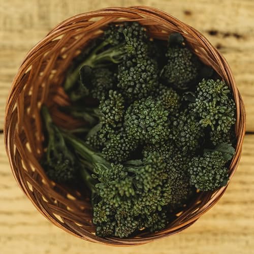 Di Cicco Broccoli - 100 Heirloom Seeds for Planting, Thresh Seed Co. - Image 5