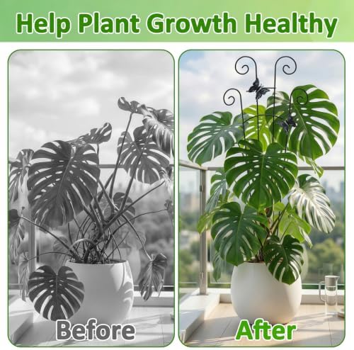 Monstera Plant Support - 32.6 Inch Tall Trellis with 2 Pack Plant Stakes for Your Large Climbing Monstera Deliciosa | Indoor Plant Climbing Frame for Potted Growth - Image 5