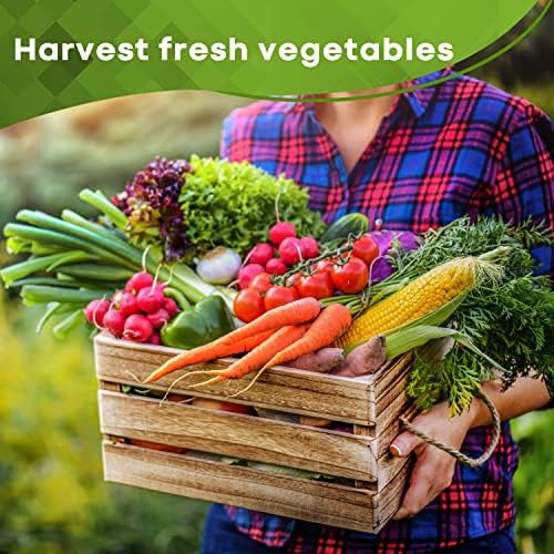 13,500+ Vegetable Fruit Seeds - Grow Your Own Garden Feast - 25 Veggie Fruit Heirloom Varieties- Mega Seed Starter Kit - Gardening Gift - Image 2