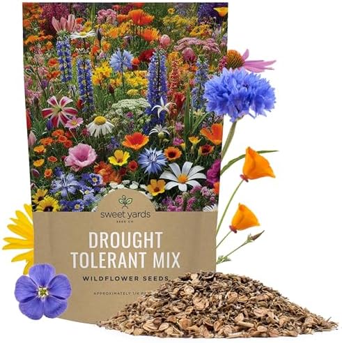 Drought Tolerant Wildflowers Mix – Bulk Quarter Pound Bag – Over 30,000 Open Pollinated Non-GMO Seeds – 21 Different Dryland Species by SweetYards