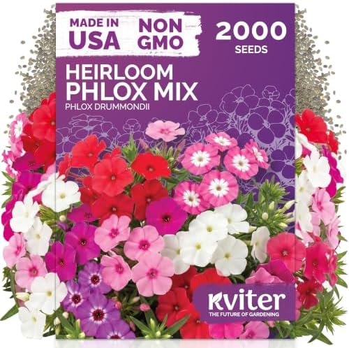 2,000 Phlox Heirloom Flower Seeds Mix for Planting, Phlox Drummondii by KVITER
