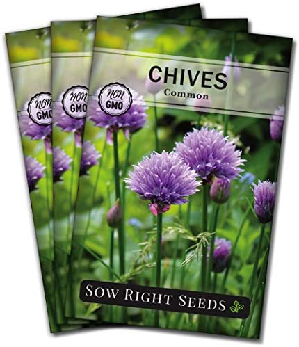 Sow Right Seeds - Common Chives Seeds for Planting Your Own Herb Garden 3pk by SowRightSeeds