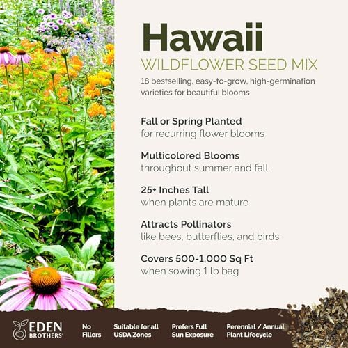 Eden Brothers Hawaii Wildflower Mixed Seeds for Planting, 1 lb - Image 2