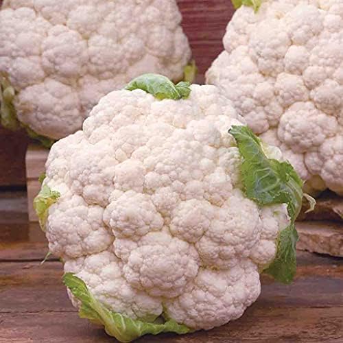 Gaea's Blessing Seeds - Cauliflower Seeds - Snowball Y Improved - Non-GMO Seeds with Easy to Follow Planting Instructions 93% Germination Rate - Image 3