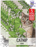 Seed Needs Catnip Seeds to Plant an Herb Garden - 5 Packs by SeedNeeds