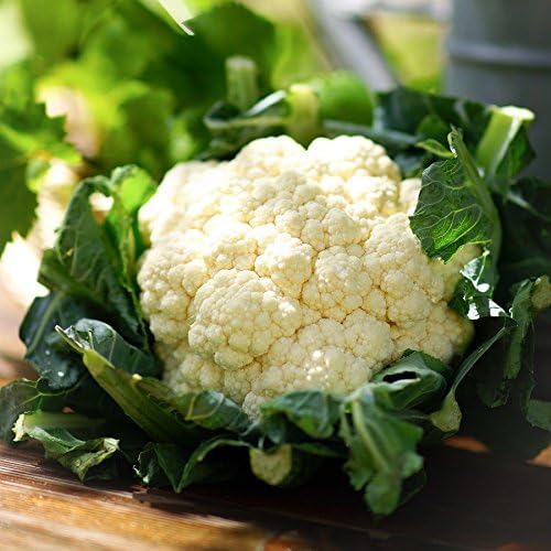 Gaea's Blessing Seeds - Cauliflower Seeds - Snowball Y Improved - Non-GMO Seeds with Easy to Follow Planting Instructions 93% Germination Rate - Image 2