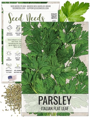 Seed Needs Italian Flat Leaf Parsley Seeds to Plant an Herb Garden - 1 Pack by SeedNeeds