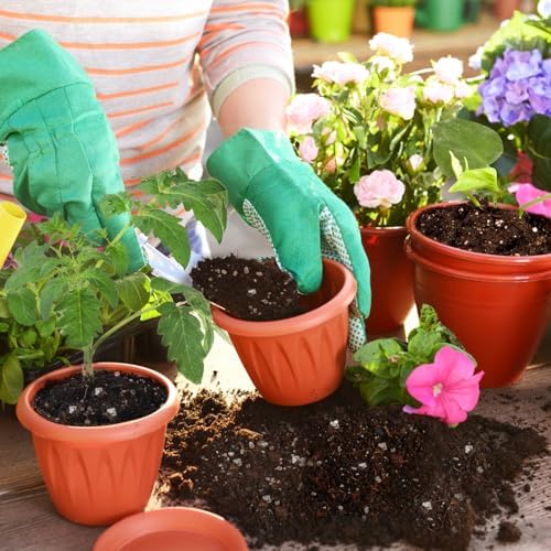 Horticultural Perlite for Plants 2qt, All Natural Horticultural Soil Additive Conditioner Mix, Improve Ventilation and Drainage, Enhance Soil Health and Root Growth - Image 5