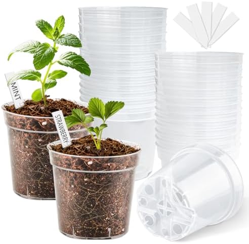 4 Inch Clear Nursery Pots for Plants, Plastic Plant Pot with Drainage Holes, Sturdy Seed Starter Pots, Small Transparent Seedling Pots with Plant Labels and Soil Screens, Gardening Gifts(30 Pack) by BTPLASTIK