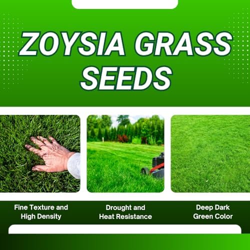 10000 Zoysia Grass Seeds for Lawn, Emerald Zoysia Grass Seed - Image 4