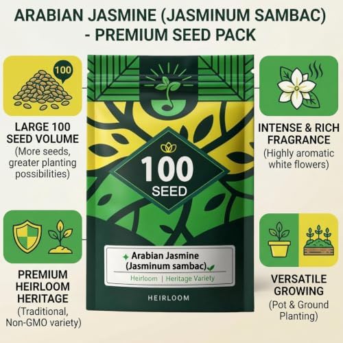 Arabian Jasmine Seeds, Fragrant Patio/Indoor Shrub, Perennial Flower Seeds - Image 2