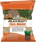 Jonathan Green Black Beauty Fall Magic Grass Seed - 3 lb by JonathanGreen