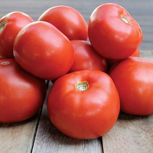 Park Seed Variety of Tomato Seeds, Planting Vegetables, Easy to Grow, Non-GMO, Perfect for Harvesting, Jamestown Red, Pack of 10 by ParkSeed