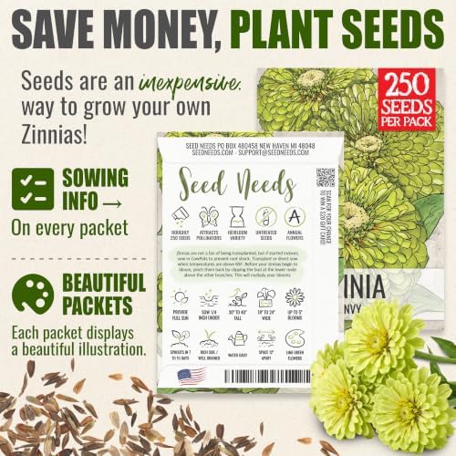 Seed Needs Envy Zinnia Seeds to Plant Cut Flowers - 5 Packs - Image 3