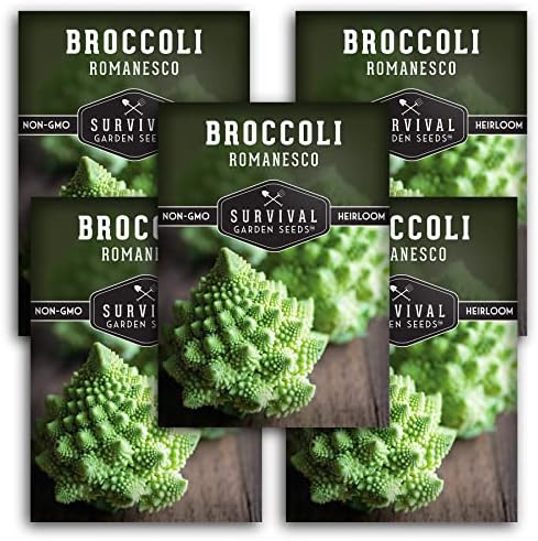 Romanesco Broccoli Seeds for Planting - Survival Garden Seeds (5 Packs) by SurvivalGardenSeeds