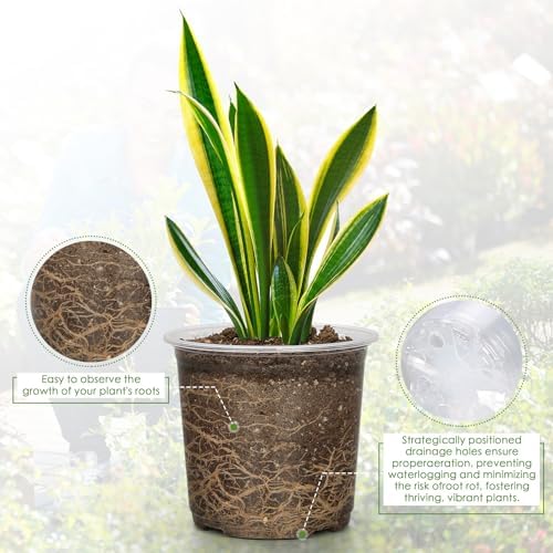 FUIJOL 4/5/6/7 Inch Clear Nursery Pots for Plants with Sacuers 20 Pack, Plastic Flower Pots with Drainage Holes, Variety Pack Seedlings Garden Pot for Indoor Outdoor (4+5+6+7 inch) - Image 3